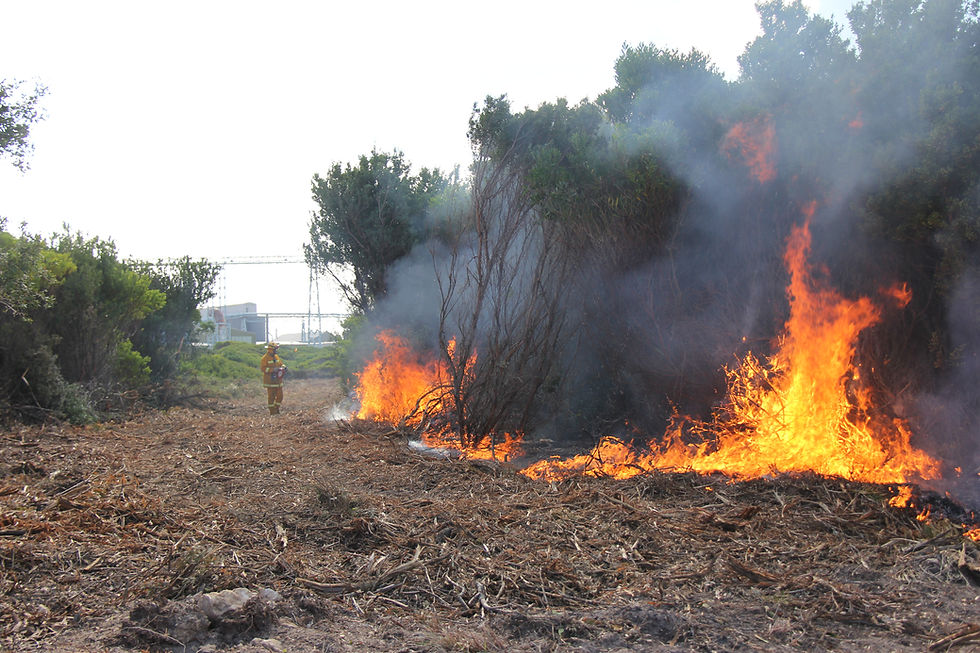 Smelter Burn May 8 2013