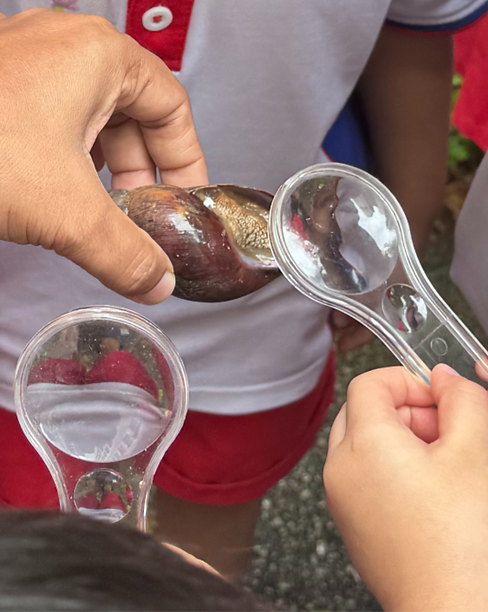 Children exploring snails during their environmental walk