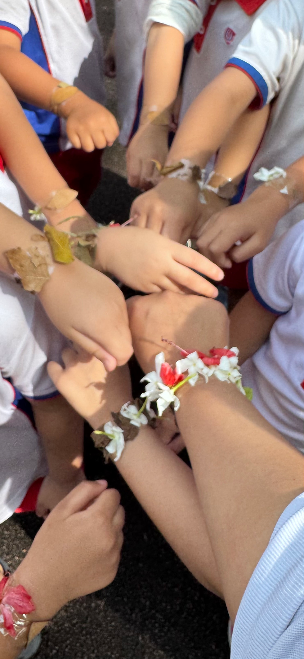 Welcome to the Gentle Classroom!