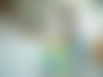 Professional Residential and Commercial Cleaning in Albany