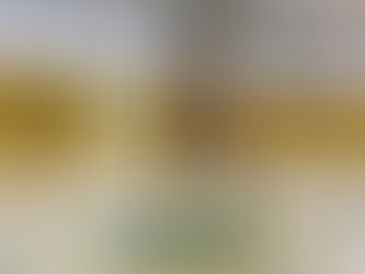 【大阪｜バスケ個人スキル指導】ドリブルが変わるとプレーが変わる。1on1に強くなる理由！小学5年生のワークアウトの様子！