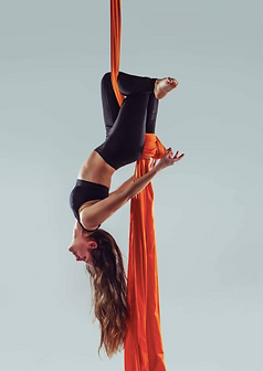 Aerial Silks Professional Photo