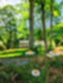 Daisies and farmhouse.jpg