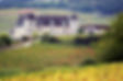 Château du Clos Vougeot © Rozenn Krebel.JPG