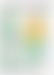 大会日程詳細のご案内