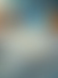 チェックリスト