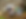 All with Banner 2.HEIC