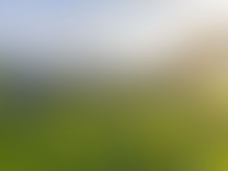 Bali Tourist Health Incident: Suspected Mass Poisoning and How Travelers Can Stay Safe