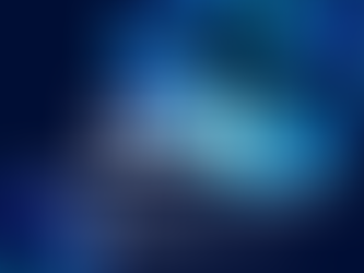 It's Been a Wild Ride