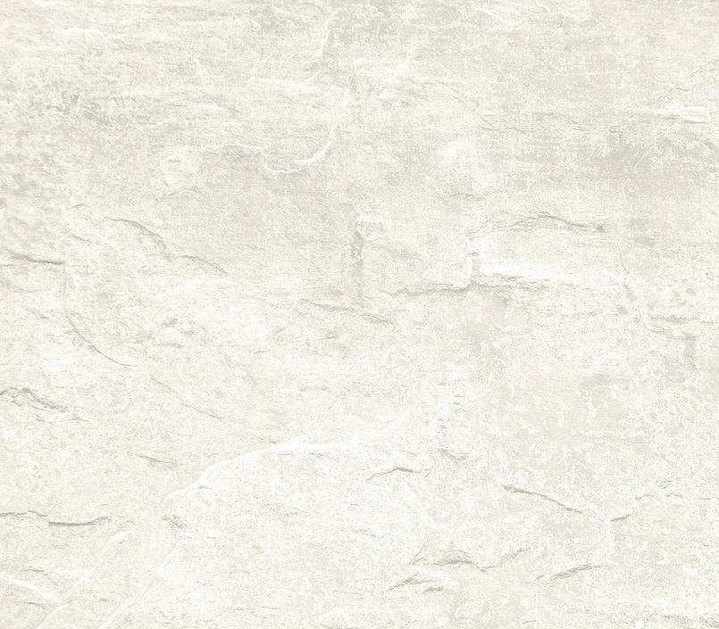 BACKGROUND-4.png