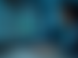 Boost Your Business with Professional IT Support Services