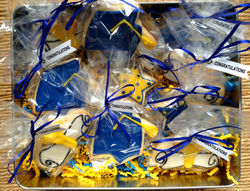 Graduation Cookie Set