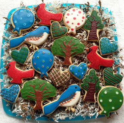 Bird Enthusiast Birthday Set