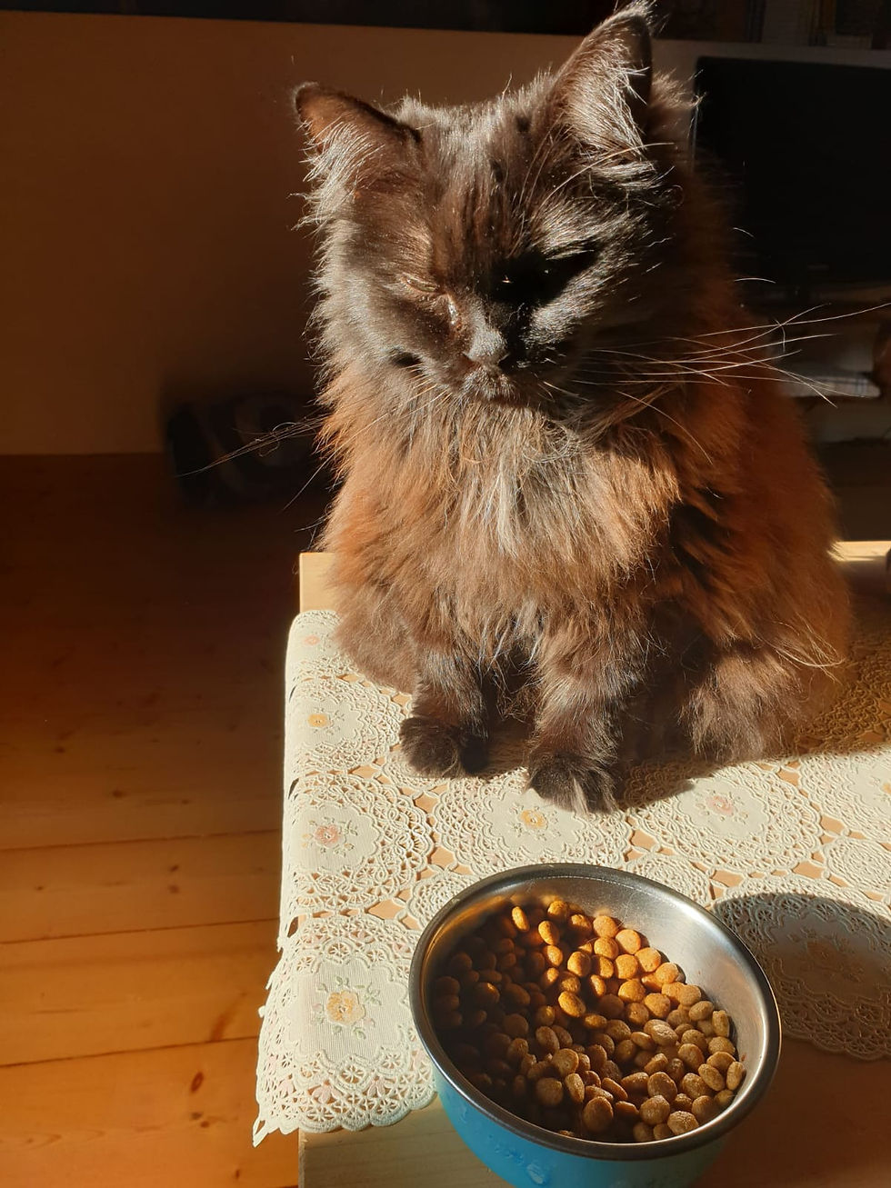 Maia e le crocchette