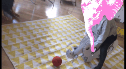 pinky1.gif