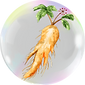 1.png