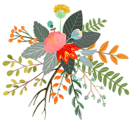 plante naturopathie