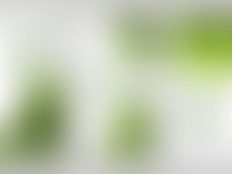 Sustainability Awakening And Empowerment