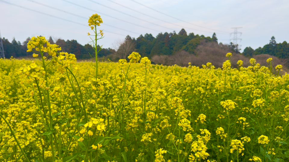 518273604_10238291623329281_5913759678430753554_n