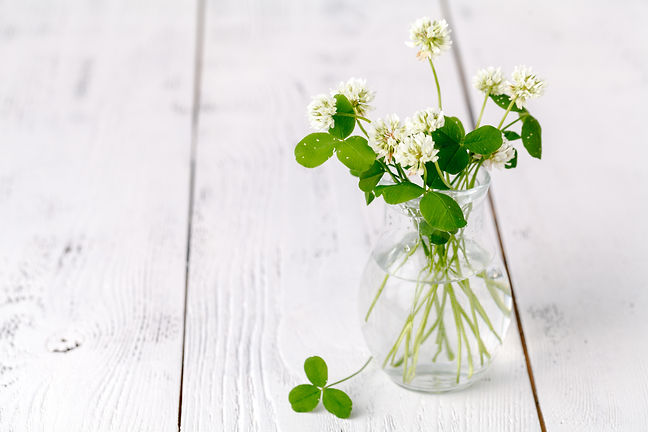 AdobeStock_212503723.jpeg