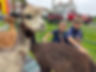 image9.jpeg