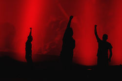 14525223_429913977179199_9064705475389484385_o