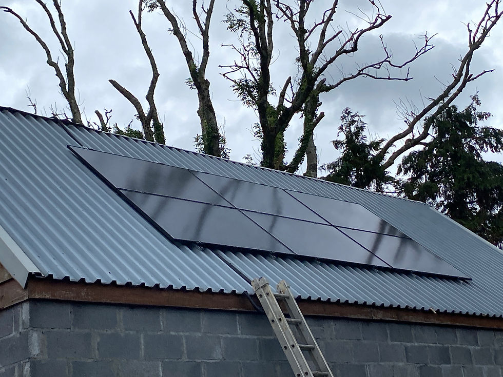 Solar panels installed on a gray corrugated roof with a wooden ladder leaning against it. Bare trees and cloudy sky in the background.