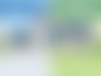 Split image comparing plug-in and professionally installed solar panels on rooftops. Blue sky and green landscape background.