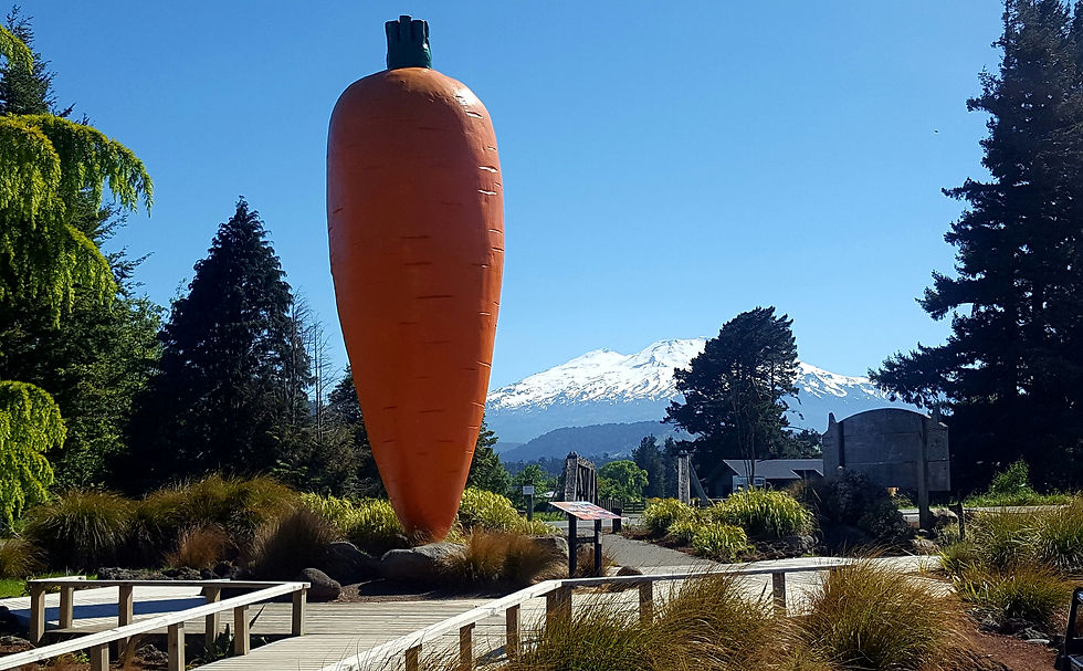 Ohakune Carrot