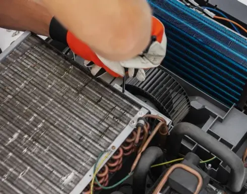 4th-section-image-3.webp