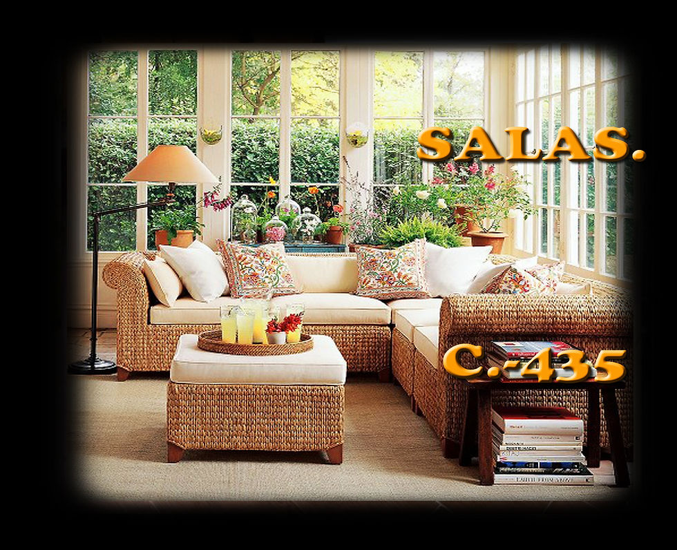 SALA435.jpg