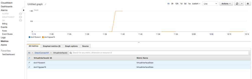 AWS Direct connect virtual interface monitoring