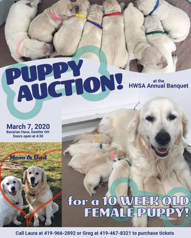 PUPPYAUCTION.jpg