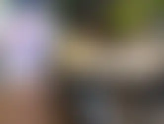 Attitude of Gratitude. by Lauren Parker NorthForker article