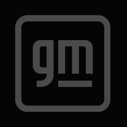 GM (General Motors)