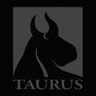 Taurus Investment Holdings LLC