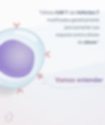 CAR T-Cells - 16.02.22_LM_2 - Copia