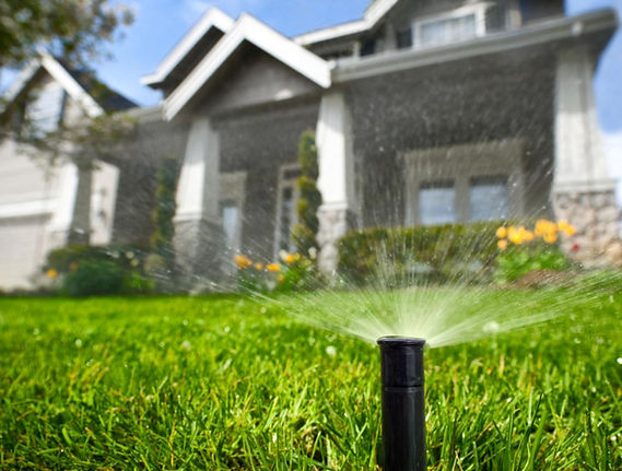 Irrigation.jpeg