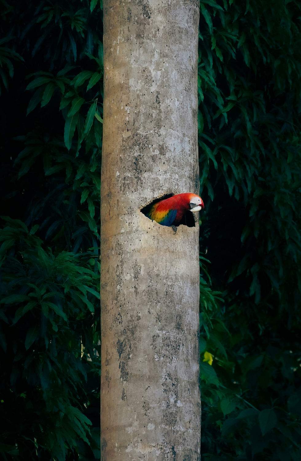 costarica