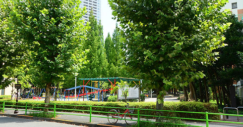 pixta_35046833_1200-630.jpg