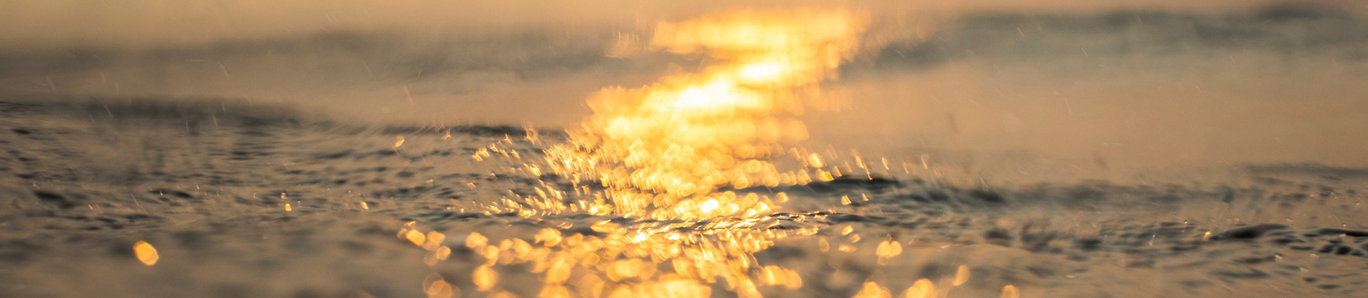 iStock-1222081358_edited.jpg