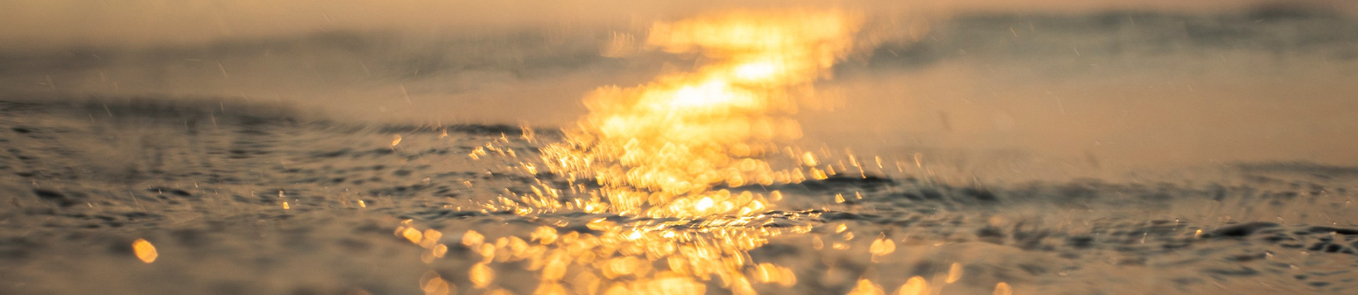 iStock-1222081358_edited.jpg