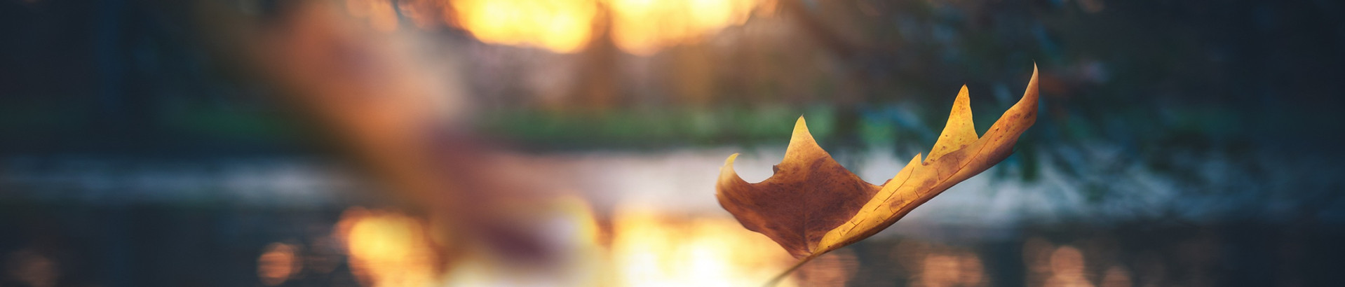 iStock-1263515328_edited.jpg