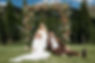 Summer Flower Arch mountain wedding