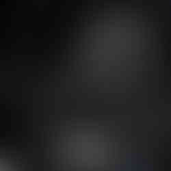 德國呂根島原廠酒杯、鬥牛犬圖騰