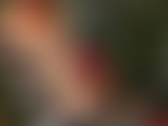 PUMPKINS FOREVER: how to make them last all fall.