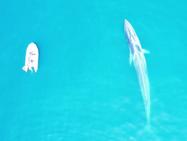 Update on Antofagasta, Chile