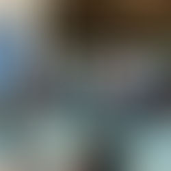 "Crew of international vessel visits Espaço Vida Marinha to exchange experiences on whale protection"