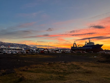 Mindfulness a Reykjavík