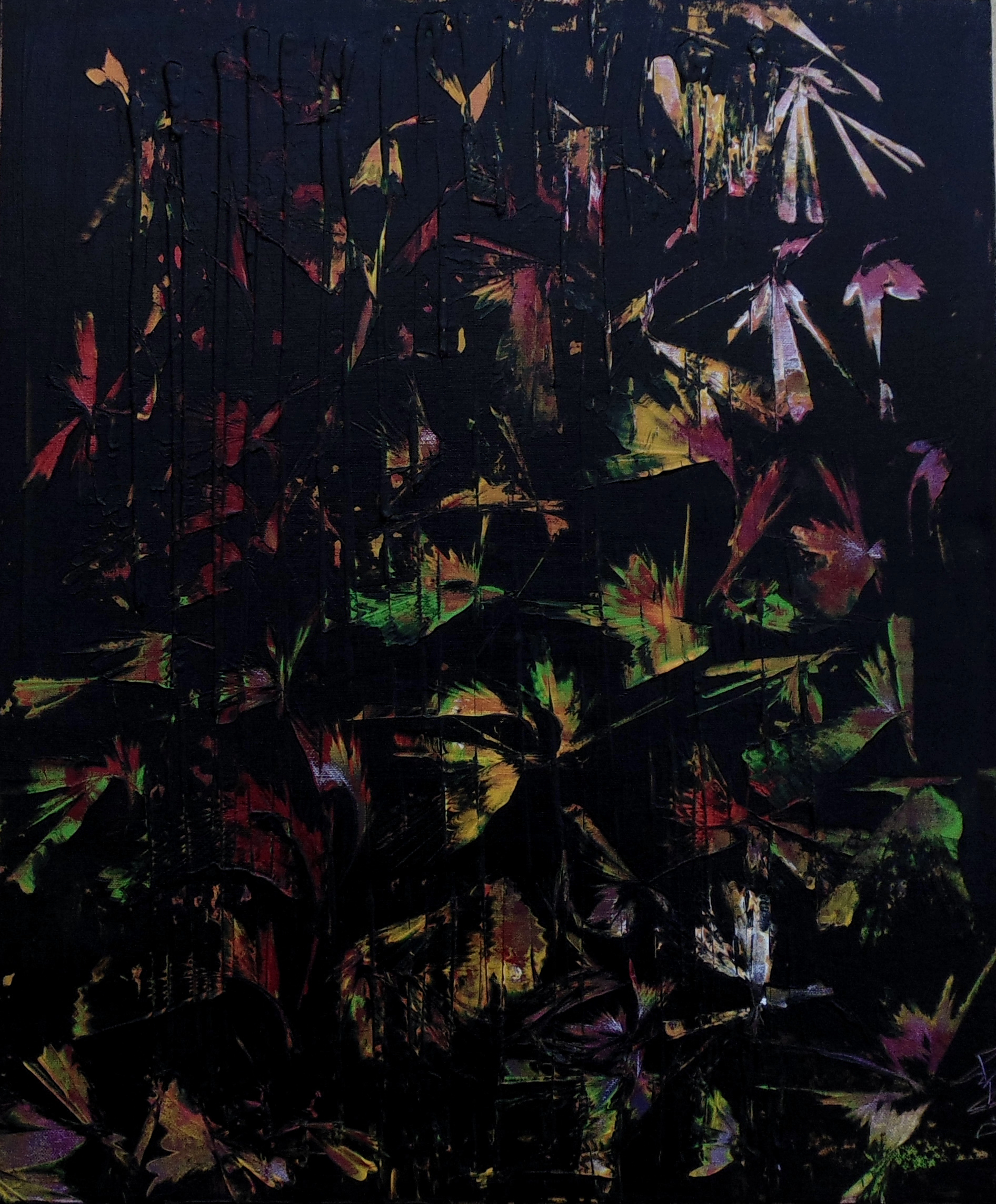 Birds of Paradise